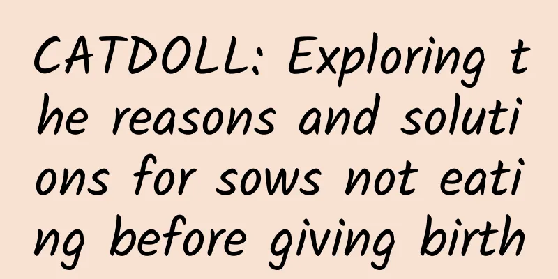 CATDOLL: Exploring the reasons and solutions for sows not eating before giving birth