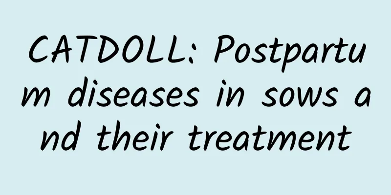 CATDOLL: Postpartum diseases in sows and their treatment