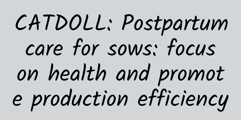 CATDOLL: Postpartum care for sows: focus on health and promote production efficiency