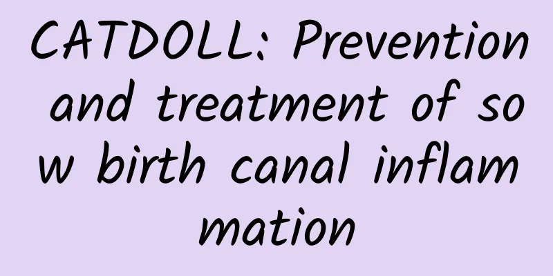 CATDOLL: Prevention and treatment of sow birth canal inflammation