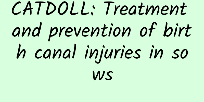 CATDOLL: Treatment and prevention of birth canal injuries in sows