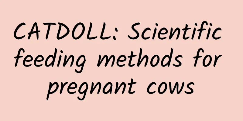 CATDOLL: Scientific feeding methods for pregnant cows