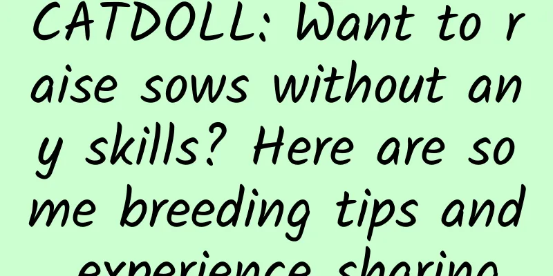 CATDOLL: Want to raise sows without any skills? Here are some breeding tips and experience sharing