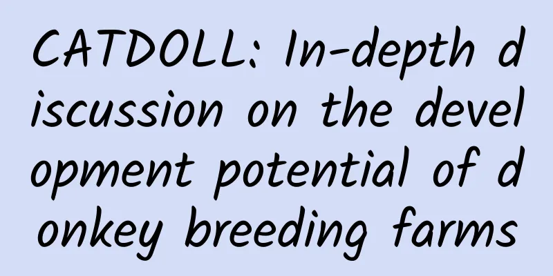CATDOLL: In-depth discussion on the development potential of donkey breeding farms