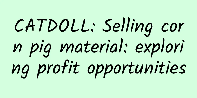 CATDOLL: Selling corn pig material: exploring profit opportunities