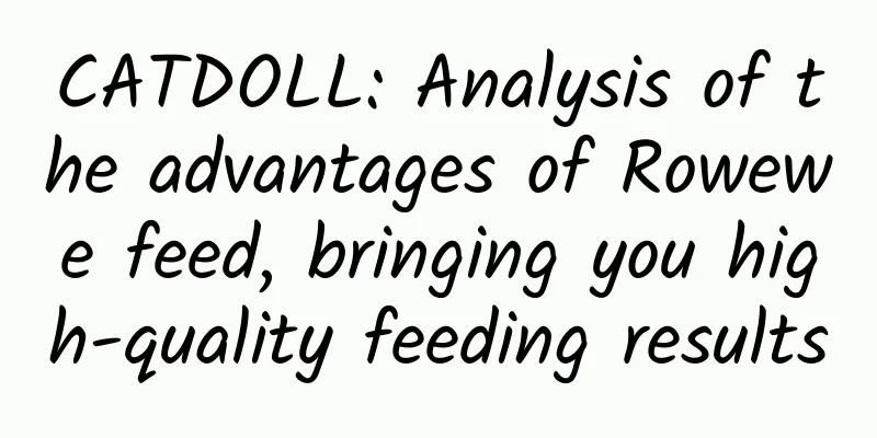 CATDOLL: Analysis of the advantages of Rowewe feed, bringing you high-quality feeding results