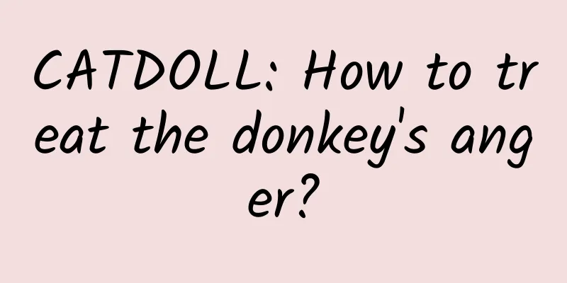 CATDOLL: How to treat the donkey's anger?