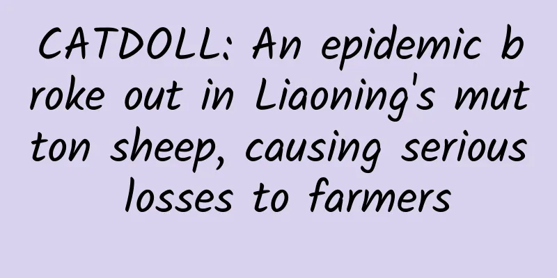 CATDOLL: An epidemic broke out in Liaoning's mutton sheep, causing serious losses to farmers