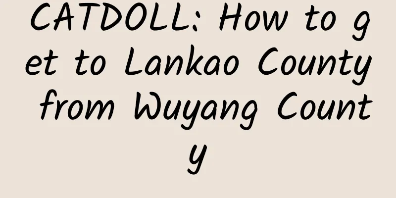 CATDOLL: How to get to Lankao County from Wuyang County