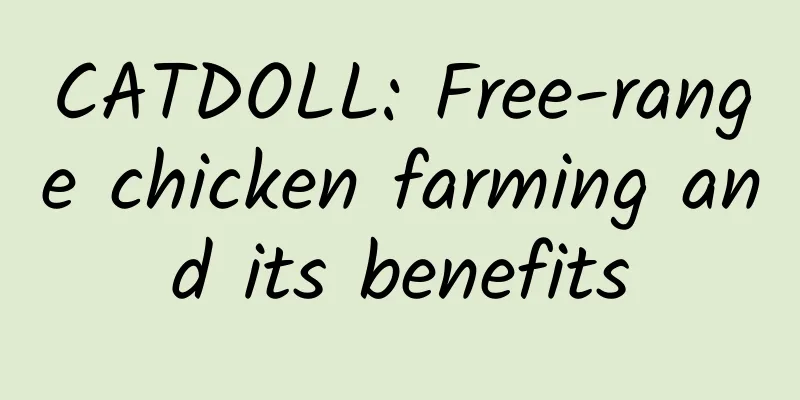 CATDOLL: Free-range chicken farming and its benefits