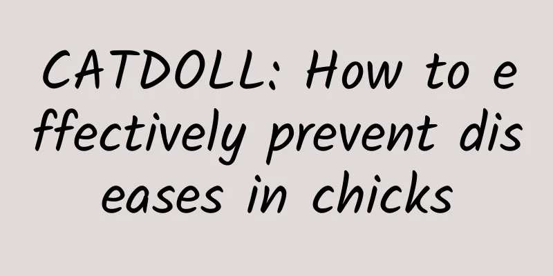 CATDOLL: How to effectively prevent diseases in chicks