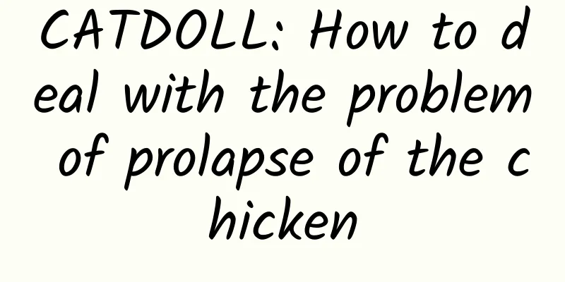 CATDOLL: How to deal with the problem of prolapse of the chicken