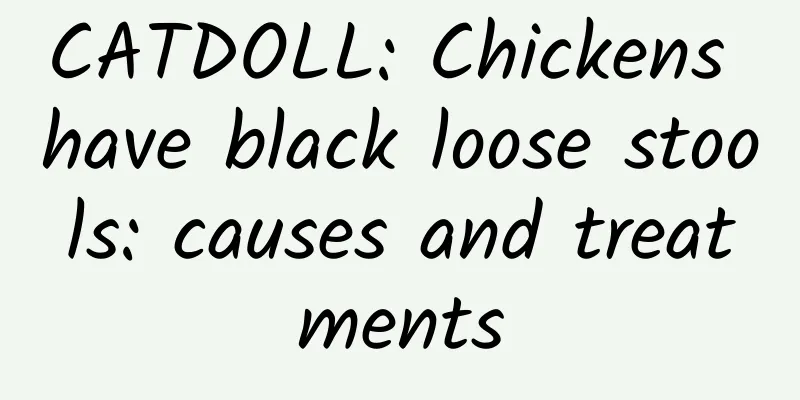 CATDOLL: Chickens have black loose stools: causes and treatments