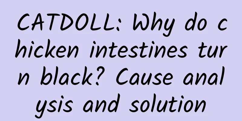 CATDOLL: Why do chicken intestines turn black? Cause analysis and solution