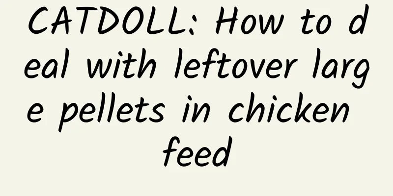 CATDOLL: How to deal with leftover large pellets in chicken feed