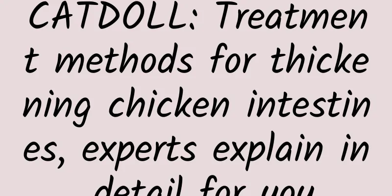 CATDOLL: Treatment methods for thickening chicken intestines, experts explain in detail for you