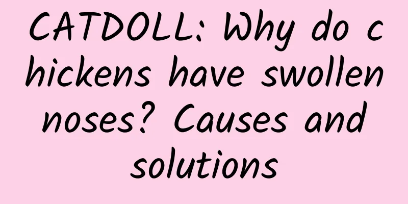 CATDOLL: Why do chickens have swollen noses? Causes and solutions