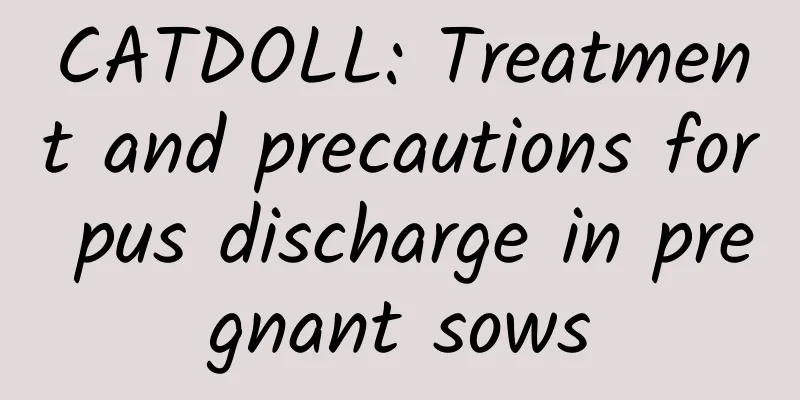 CATDOLL: Treatment and precautions for pus discharge in pregnant sows
