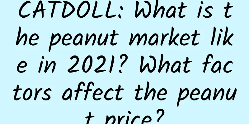 CATDOLL: What is the peanut market like in 2021? What factors affect the peanut price?