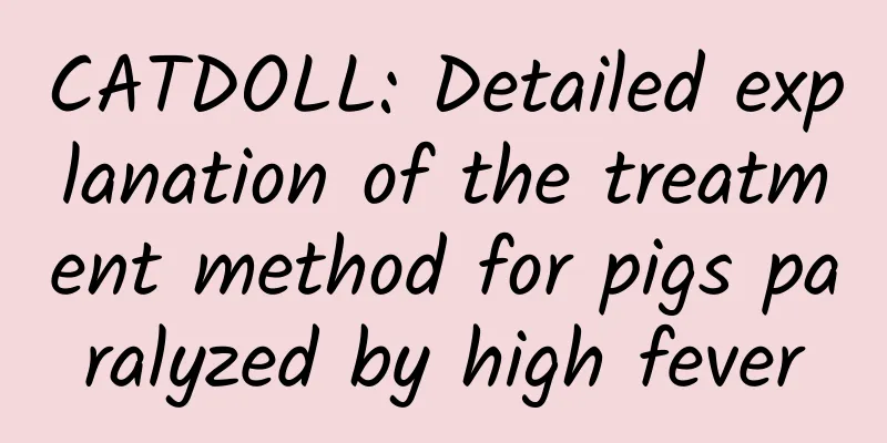 CATDOLL: Detailed explanation of the treatment method for pigs paralyzed by high fever