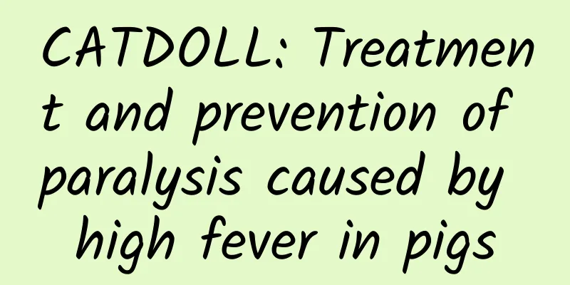 CATDOLL: Treatment and prevention of paralysis caused by high fever in pigs