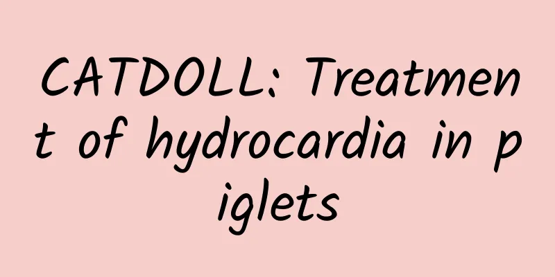 CATDOLL: Treatment of hydrocardia in piglets