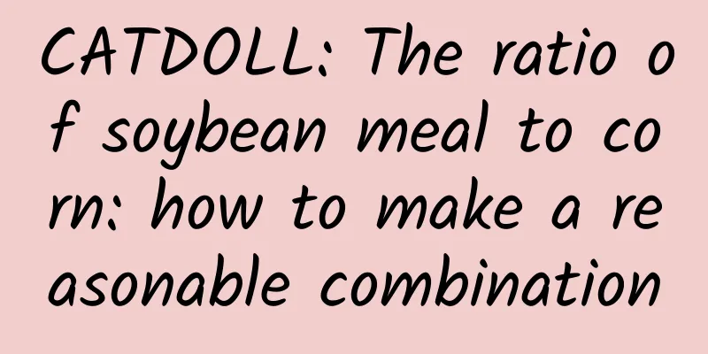 CATDOLL: The ratio of soybean meal to corn: how to make a reasonable combination
