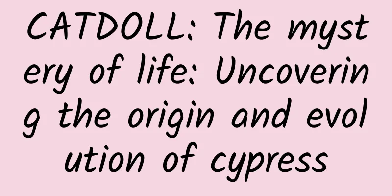 CATDOLL: The mystery of life: Uncovering the origin and evolution of cypress