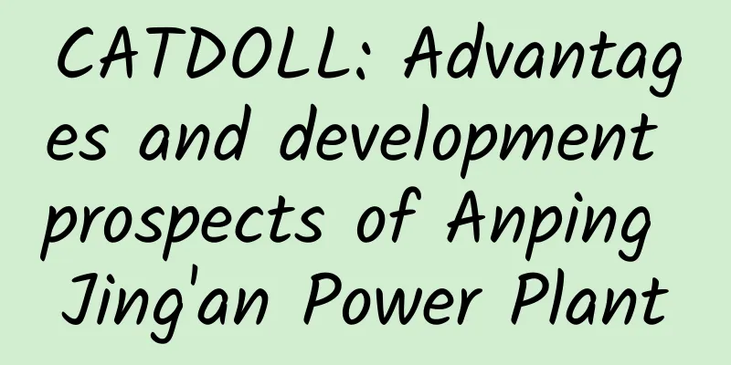 CATDOLL: Advantages and development prospects of Anping Jing'an Power Plant