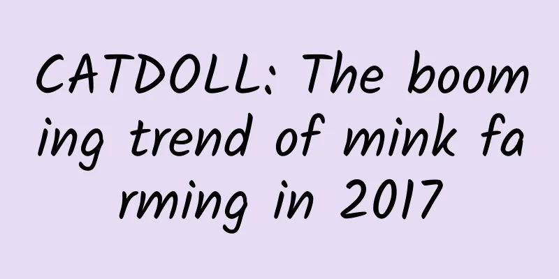 CATDOLL: The booming trend of mink farming in 2017