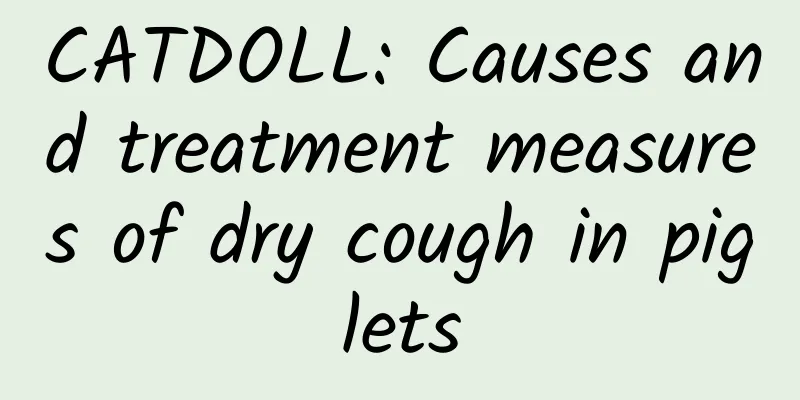 CATDOLL: Causes and treatment measures of dry cough in piglets