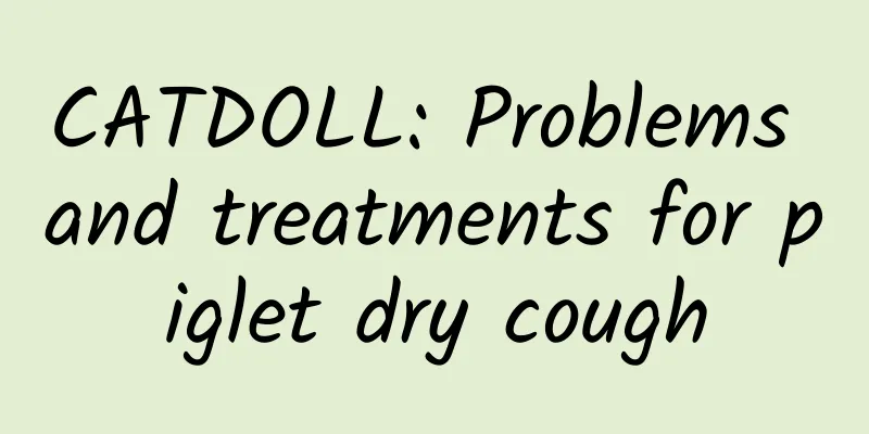 CATDOLL: Problems and treatments for piglet dry cough