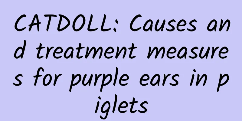 CATDOLL: Causes and treatment measures for purple ears in piglets