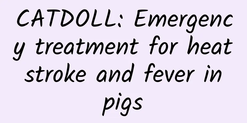 CATDOLL: Emergency treatment for heat stroke and fever in pigs
