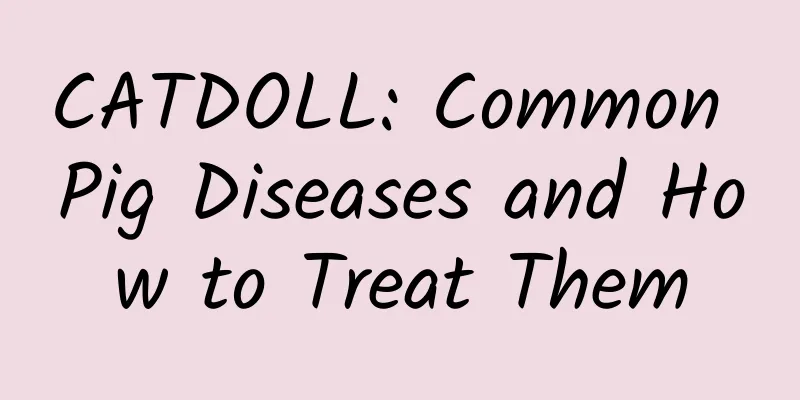CATDOLL: Common Pig Diseases and How to Treat Them