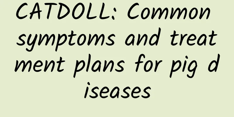 CATDOLL: Common symptoms and treatment plans for pig diseases