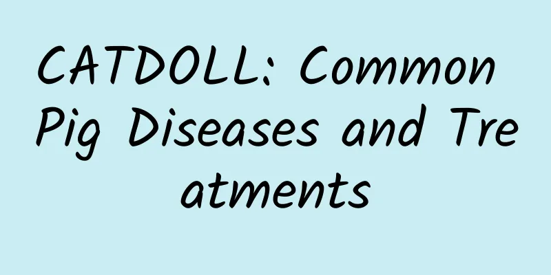 CATDOLL: Common Pig Diseases and Treatments