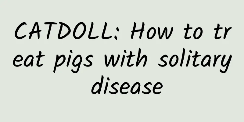 CATDOLL: How to treat pigs with solitary disease