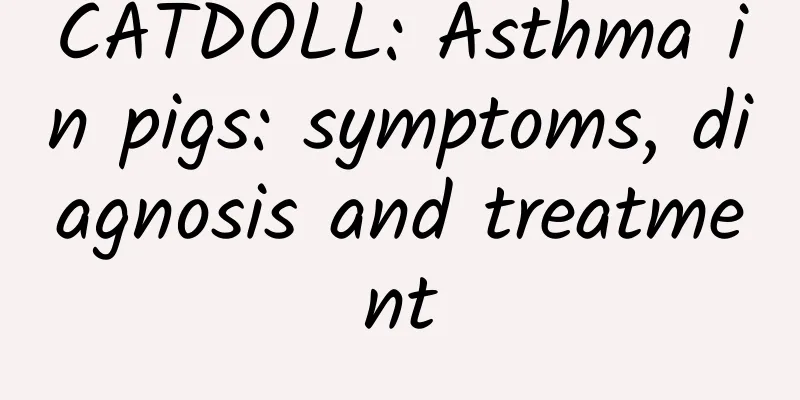 CATDOLL: Asthma in pigs: symptoms, diagnosis and treatment