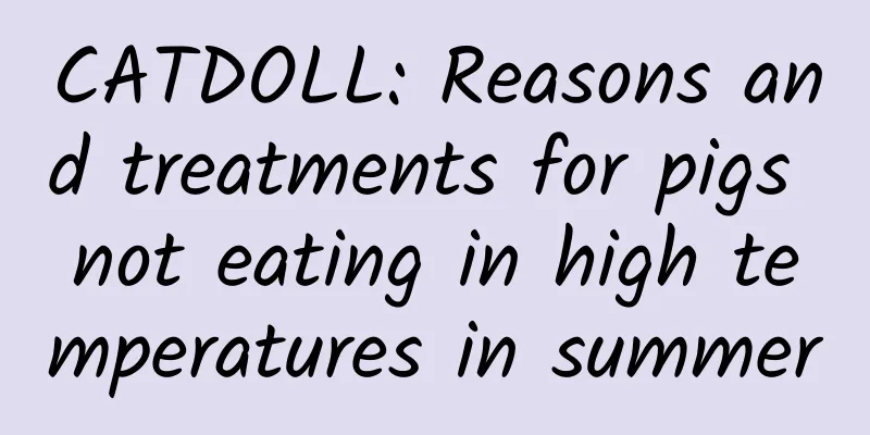 CATDOLL: Reasons and treatments for pigs not eating in high temperatures in summer
