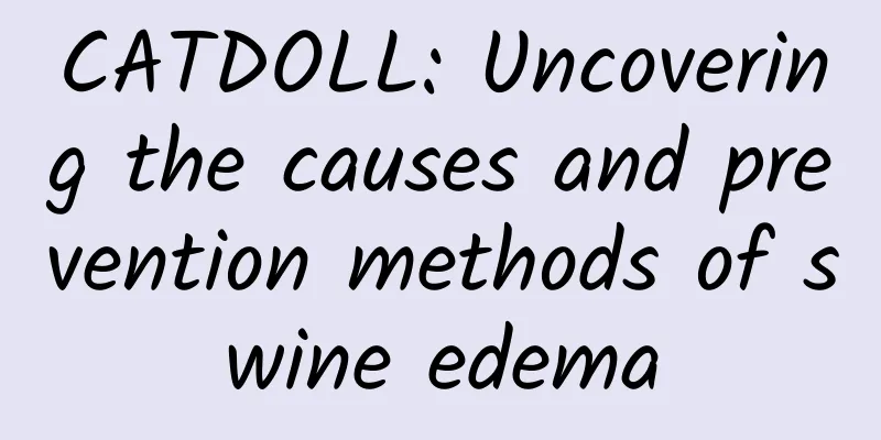 CATDOLL: Uncovering the causes and prevention methods of swine edema