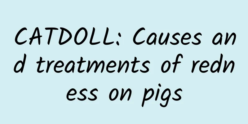 CATDOLL: Causes and treatments of redness on pigs