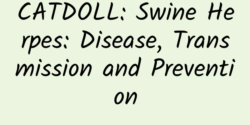 CATDOLL: Swine Herpes: Disease, Transmission and Prevention