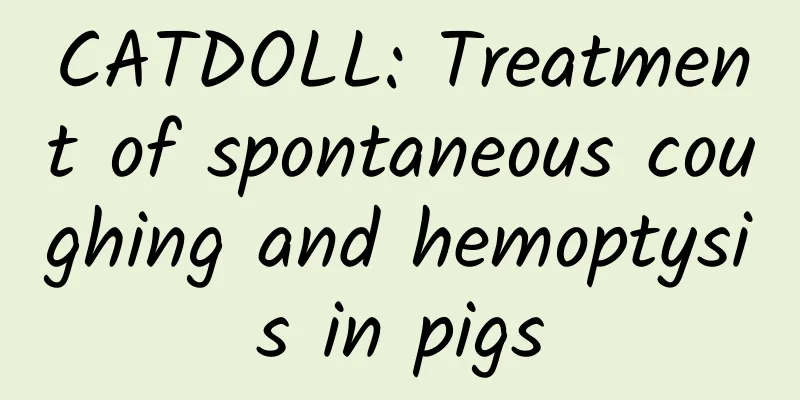 CATDOLL: Treatment of spontaneous coughing and hemoptysis in pigs