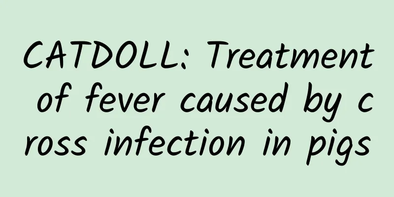 CATDOLL: Treatment of fever caused by cross infection in pigs