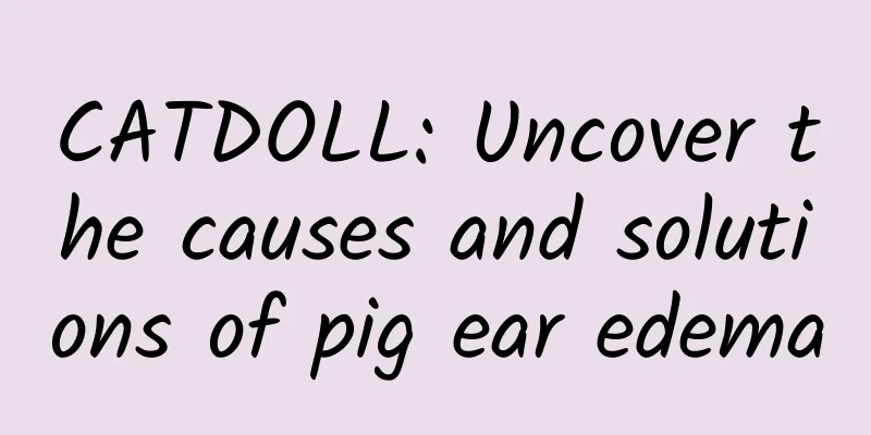 CATDOLL: Uncover the causes and solutions of pig ear edema