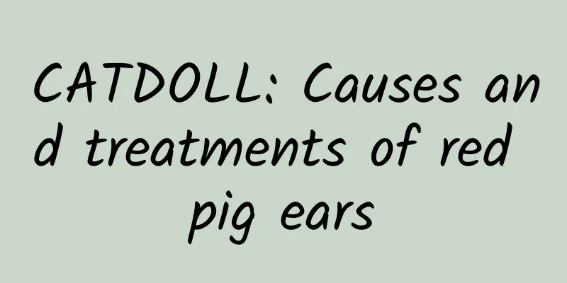 CATDOLL: Causes and treatments of red pig ears