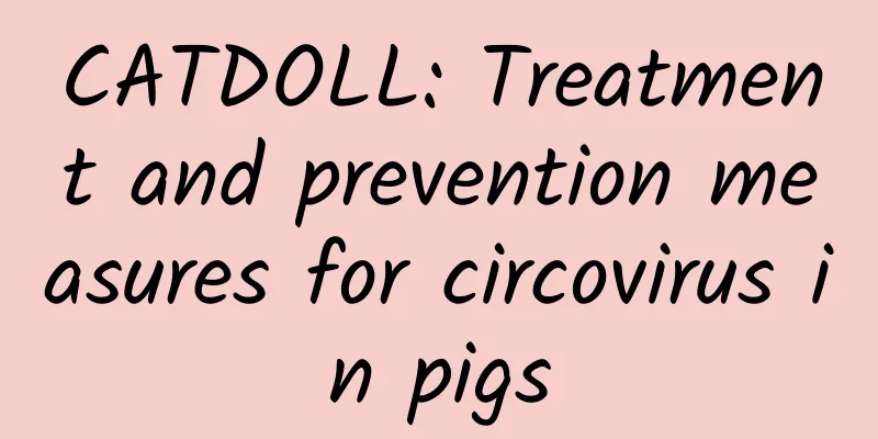 CATDOLL: Treatment and prevention measures for circovirus in pigs