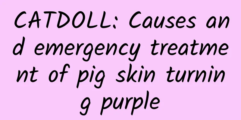 CATDOLL: Causes and emergency treatment of pig skin turning purple