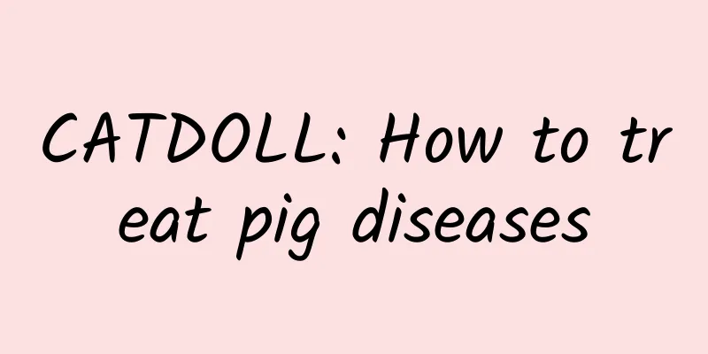 CATDOLL: How to treat pig diseases